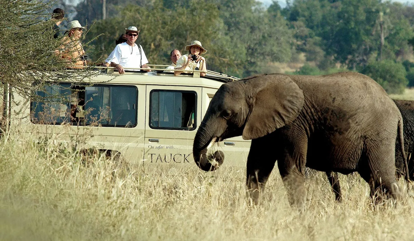 Tourists on a Tauck safari vehicle observing a large African elephant in the wild savanna.