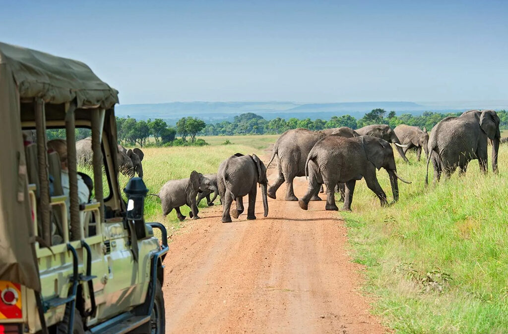 A herd of elephants crossing the road in front of a safari vehicle