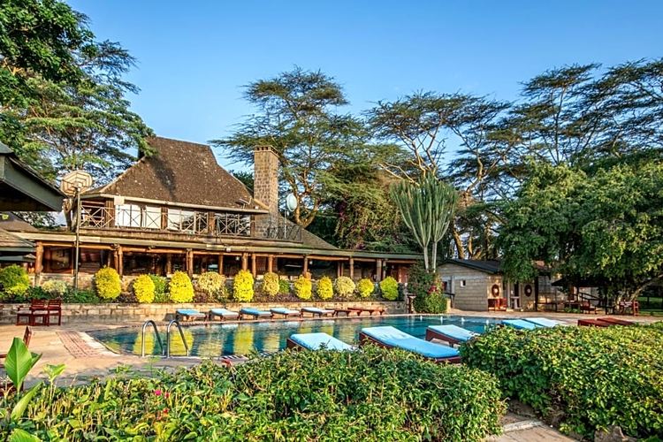 A lodge terrace and pool shaded by yellow umbrellas
