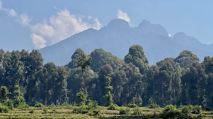 Forested volcanic peaks rising above the highlands