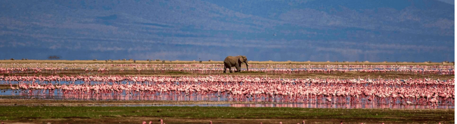 6-Day Kenya Luxury Safari at Sopa Lodges