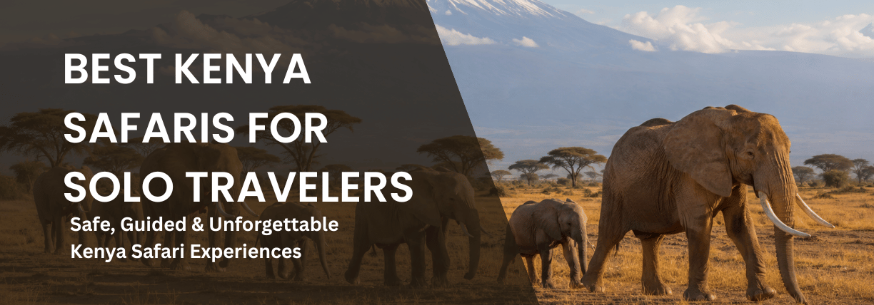 Solo traveler on a guided Kenya safari watching wildlife in the Maasai Mara