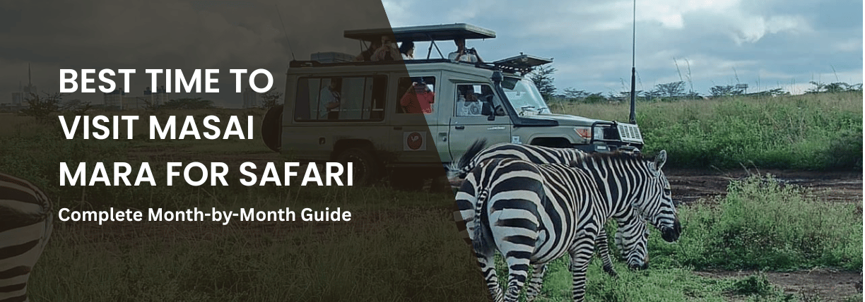 Masai Mara safari experience with zebra and tourists in a game drive vehicle