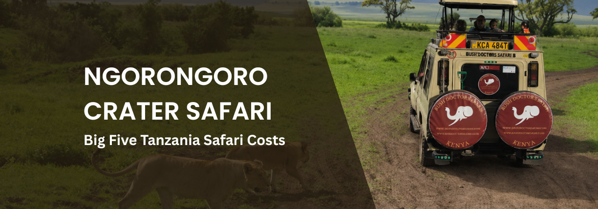 Safari vehicle driving across the Ngorongoro Crater plains in Tanzania with lions resting nearby, highlighting a Big Five safari experience in the Ngorongoro Conservation Area.