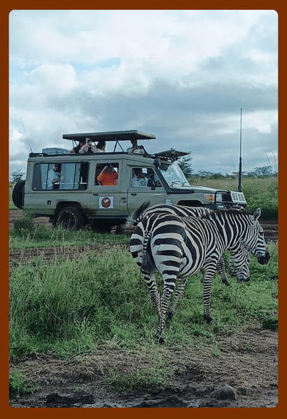 Giraffe standing in the African savanna, representing responsible travel and wildlife conservation on safari.