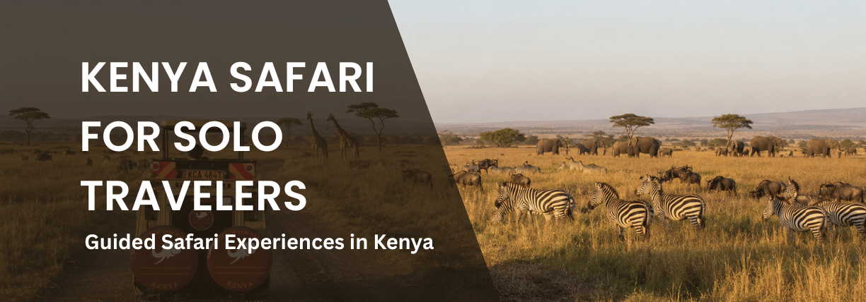 Kenya safari for solo travelers with guided safari vehicle and wildlife on the savannah