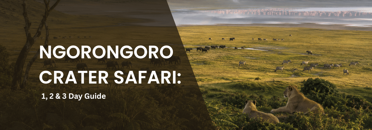 Panoramic view of Ngorongoro Crater with lions, elephants, zebras, buffalo, and flamingos across the crater floor at sunrise.