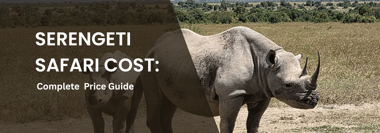 Serengeti safari cost guide featuring rhinoceros in Serengeti National Park