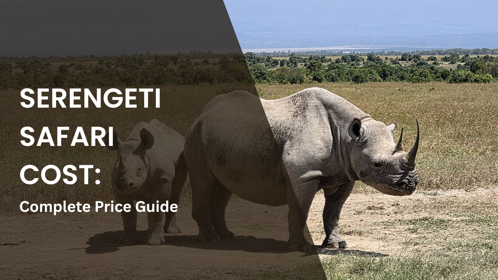 Presentation cover slide showing an adult rhinoceros and a calf standing on a dirt road in the Serengeti. Large white text on a dark overlay reads, “SERENGETI SAFARI COST: Complete Price Guide.”