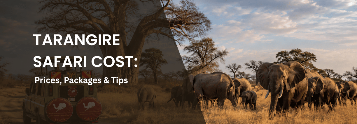 Tarangire safari cost guide featuring elephants, baobab trees, and a Bush Doctor Safaris vehicle in Tanzania